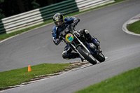 Lower Group Black Bikes